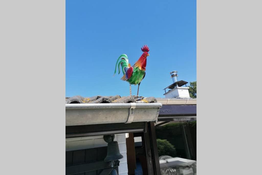 Sprookjesachtig Verblijven In Sunparks オーストダインケルケ エクステリア 写真